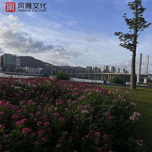 66Lu国产在线观看
